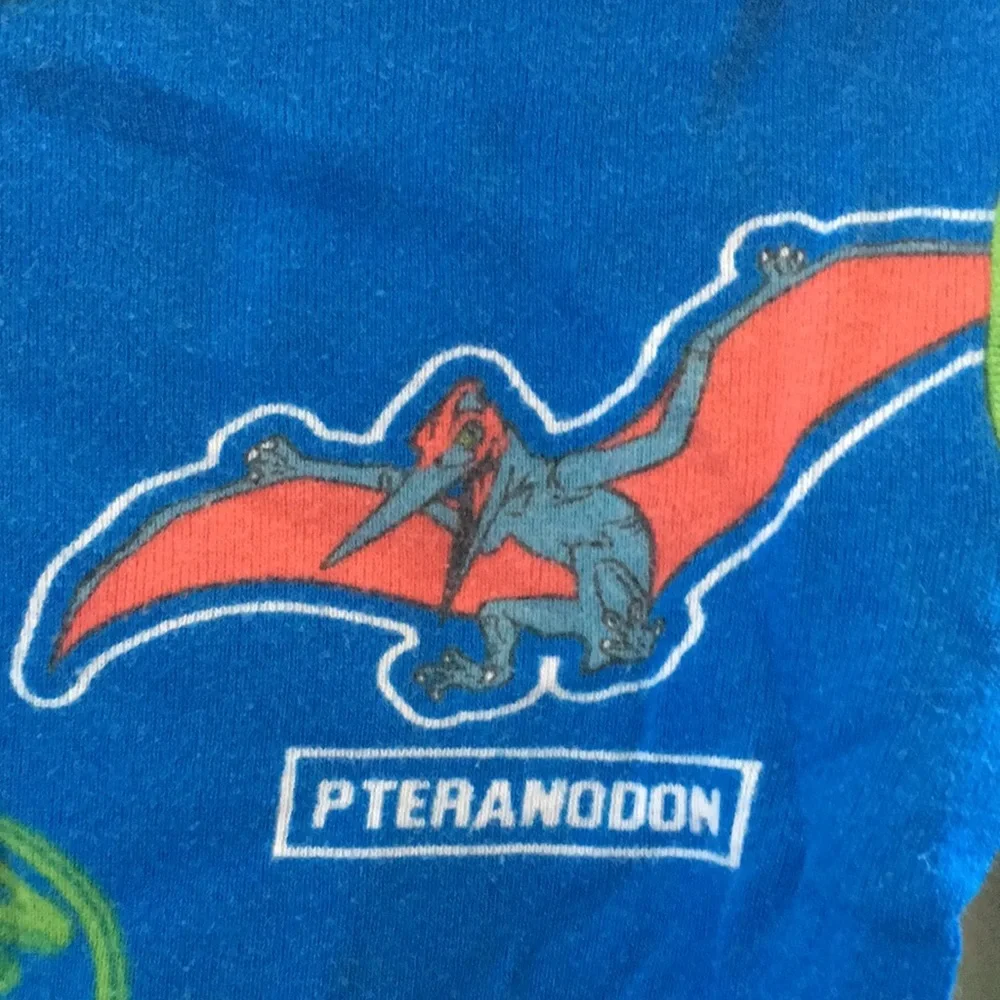 Jurassic world sleep top 4t